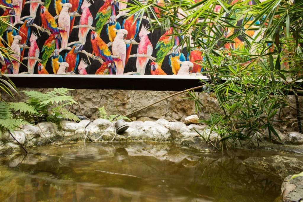 Suites Casa Lozada Bogotá Kültér fotó